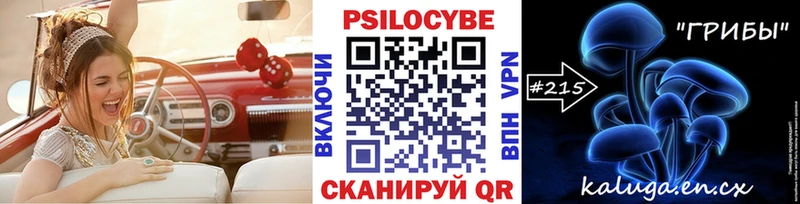 Галлюциногенные грибы мицелий  Кувандык 