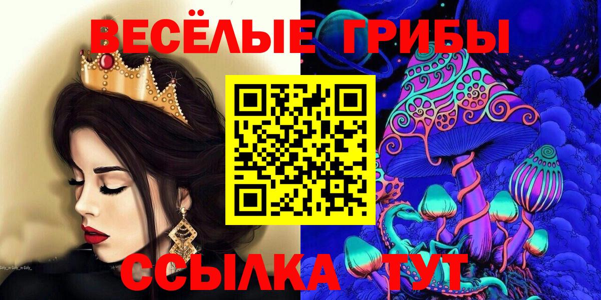 Псилоцибиновые грибы Cubensis Кувандык