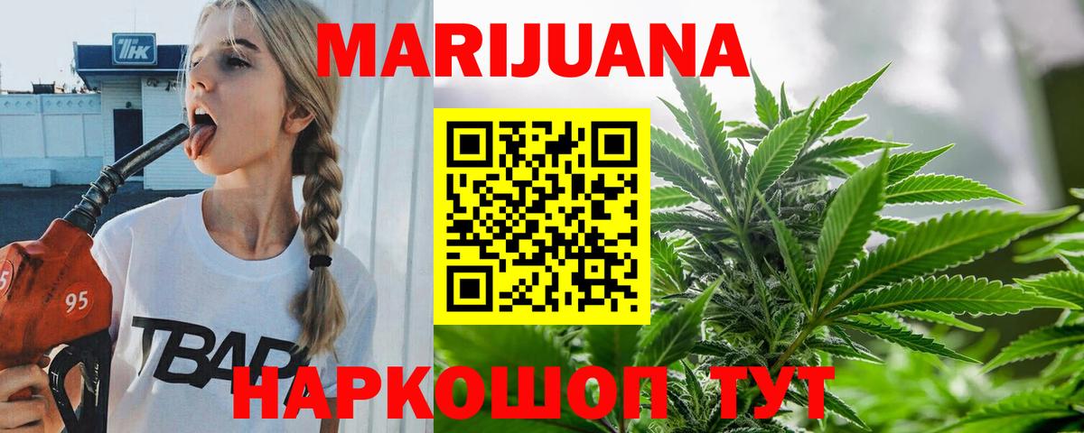 Каннабис сатива Кувандык